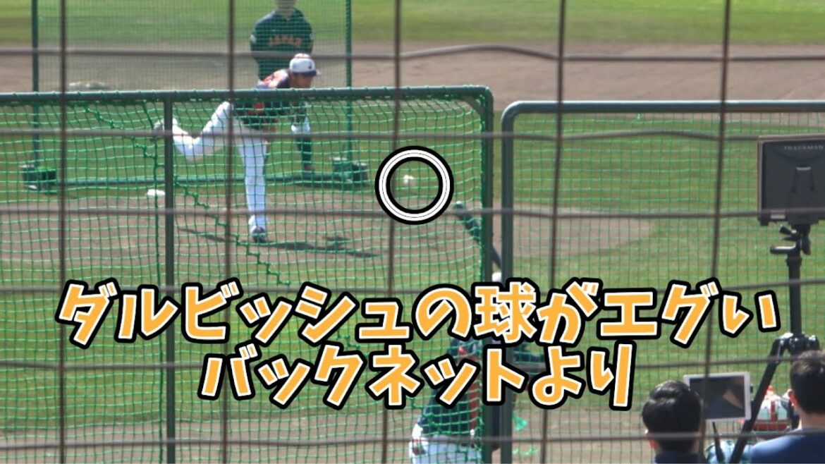 Yu Darvish ✨ Practice format pitching!!  ️ demon slider show (^^) From the back net ⚾️ Hawks Nine is also curious 🥰 vs. Takuya Kai & Hodaka Yamakawa ⚾️ From the WBC send-off match 2023.2.26