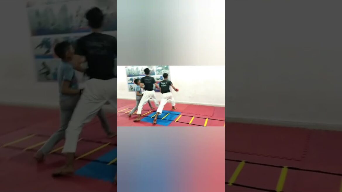 karate fight punch practice π#sachinkarate #shorts #youtubeshorts karate fight punch practice π#sachinkarate #shorts #youtubeshorts