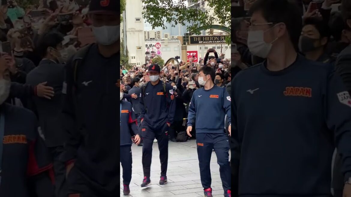 WBC Darvish Yu WBC Darvish Yu