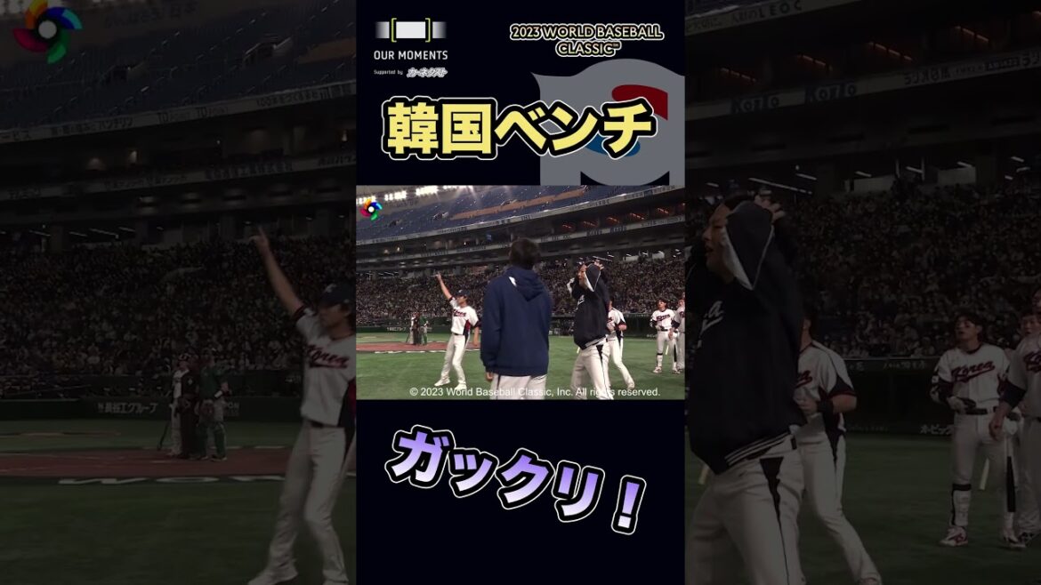 [WBC official video]Japan-Korea match!!