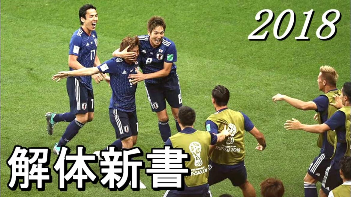 New Nishino Japan Kaitai Shinsho[Golden midfield that challenged the world]How to Nishino Japon 2018.