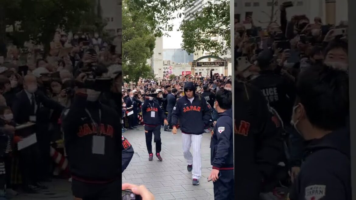 WBC Shohei Ohtani WBC Shohei Ohtani