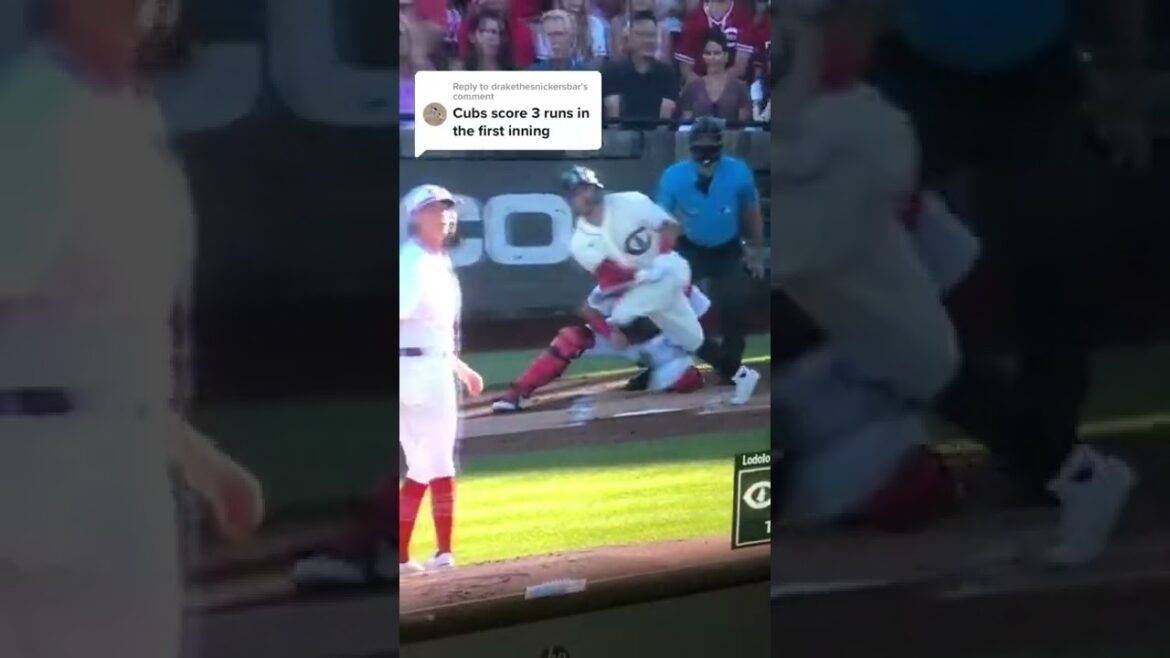 Field of dreams game Chicago Cubs score 1st things to Seiya Suzuki.