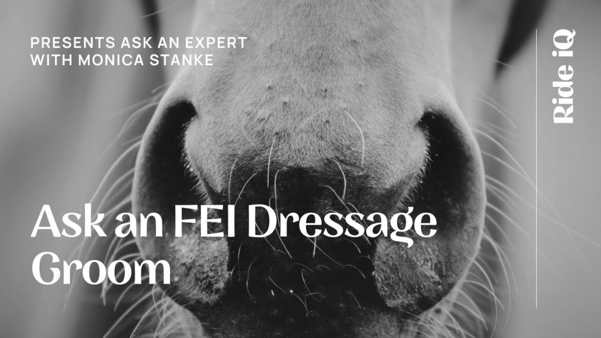 Ask an Expert with FEI Dressage Groom Monica Stanke