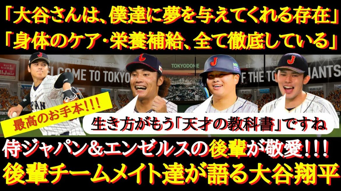 [WBC praised by Otani]"Mr. Otani is someone who gives us dreams", "Body care, training, posture, everything is a learning experience" Samurai Japan Angels juniors talk about Shohei Ohtani's greatness[Japan National Team]]