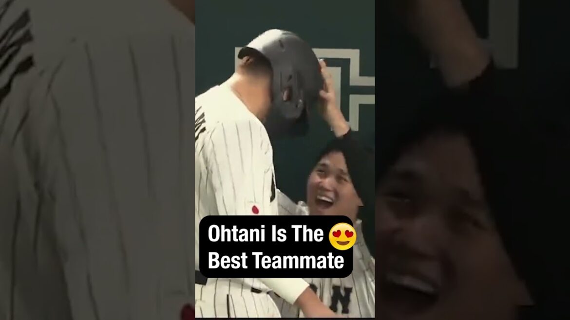 Shohei Ohtani is the BEST teammate 😍🥰 #shorts #WBC #Japan #ShoheiOhtani Shohei Ohtani is the BEST teammate 😍🥰 #shorts #WBC #Japan #ShoheiOhtani