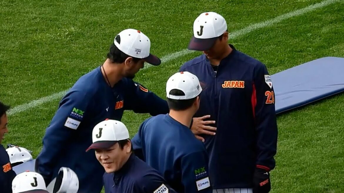 [On an acclaimed diet]Follow up on Darvish and Yuki Udagawa's weight loss order issue[Samurai Japan Miyazaki Camp]2023.2.19
