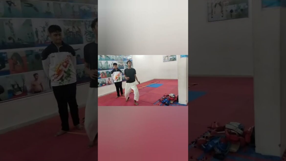 karate fight kick step #sachinkarate #shorts #youtubeshorts #viralshorts karate fight kick step #sachinkarate #shorts #youtubeshorts #viralshorts