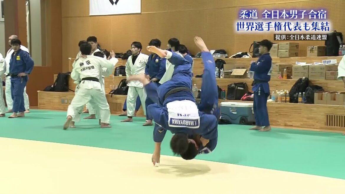 [Judo All Japan Men's Training Camp]Hifumi Abe, Joshiro Maruyama and others gather for the World Championships!