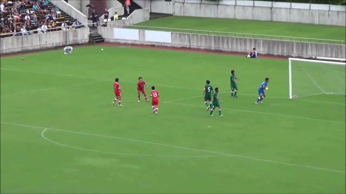 Goal of Menicon Cup 2013 ALL WEST Ritsu Doan (Gamba Osaka JY)