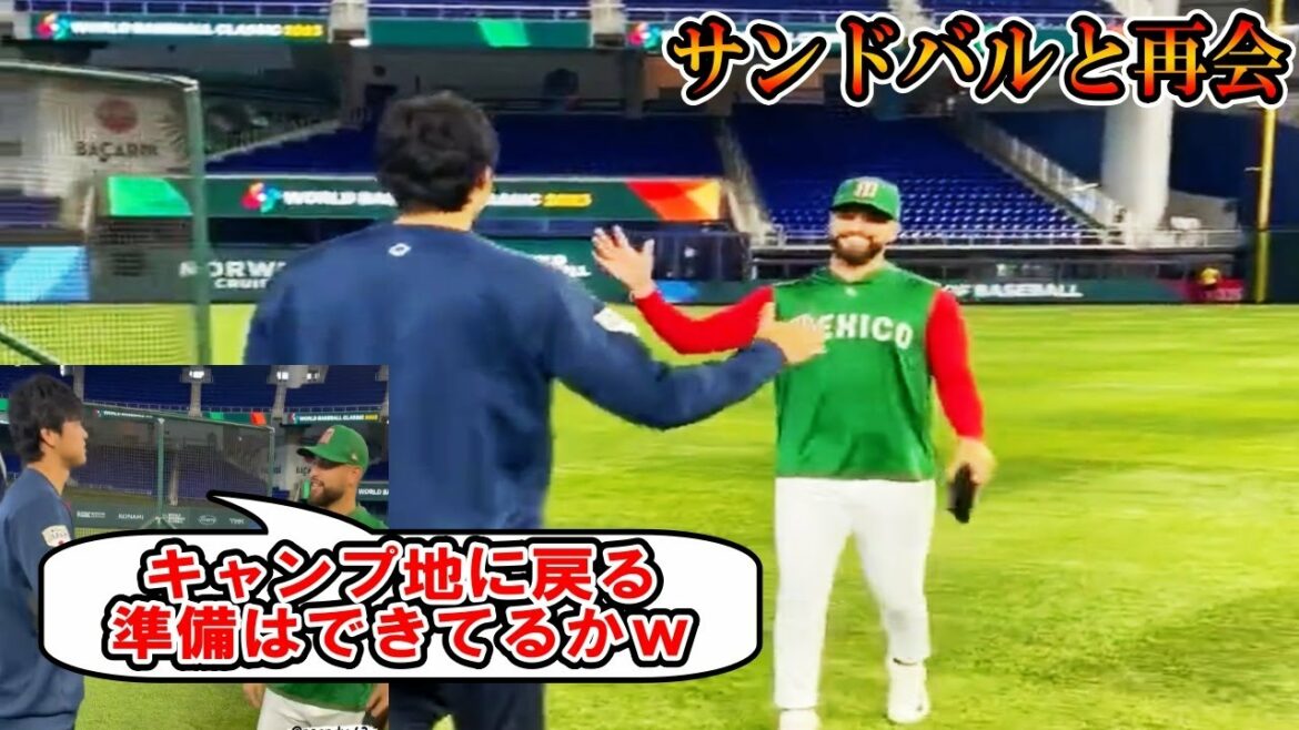 [Shohei Ohtani]Ohtani goes to greet Sandoval!  "Are you ready to go back to the campsite? w" Play against the Mexican national team!Samurai Japan