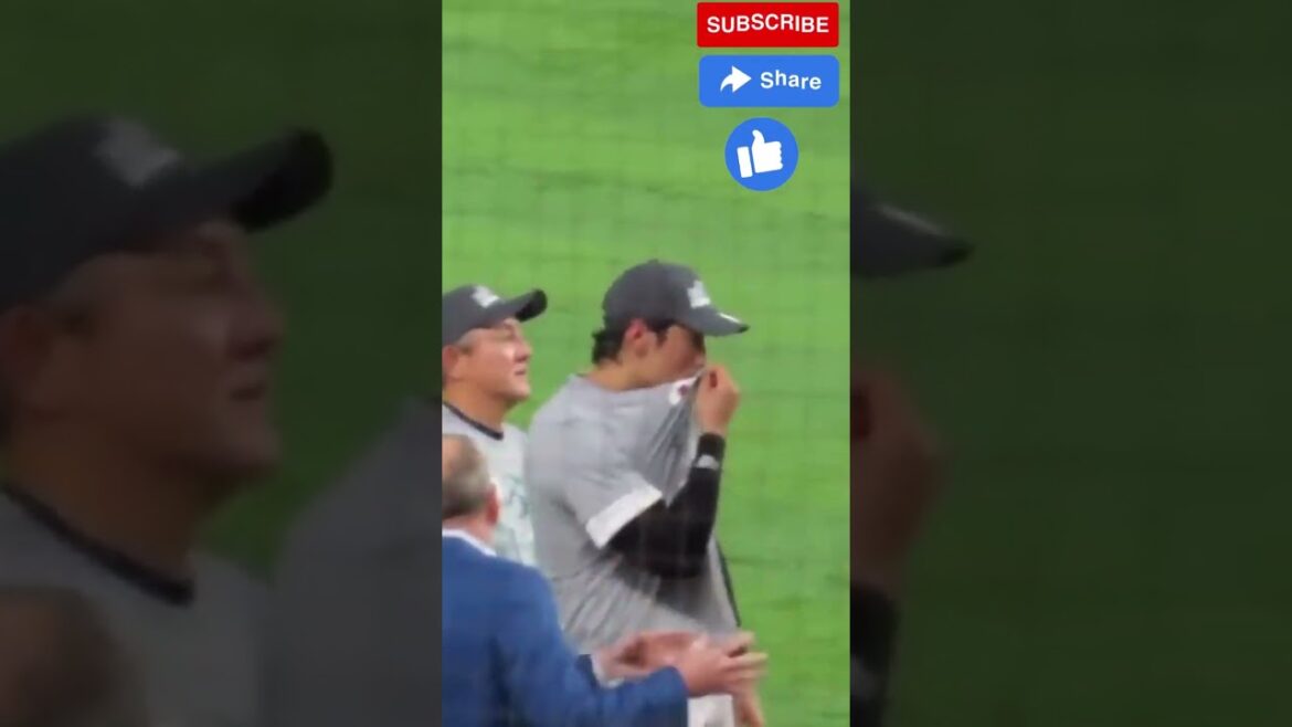 Shohei Ohtani and Yu Darvish crying after winning WBC 23 Shohei Ohtani and Yu Darvish crying after winning WBC 23