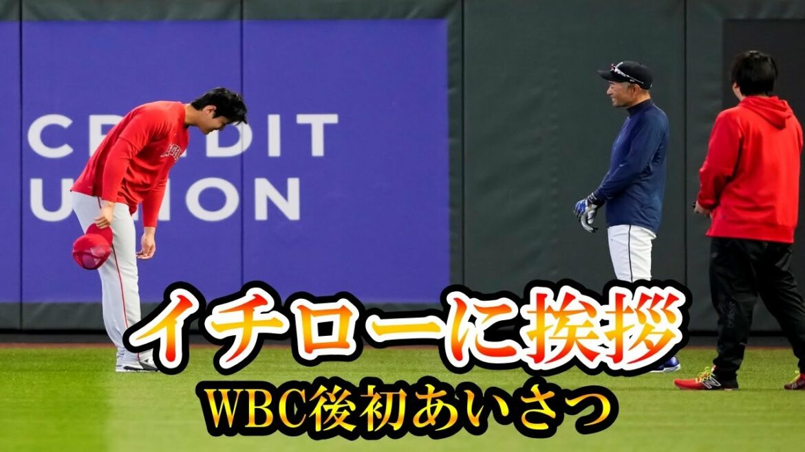 [Shohei Ohtani]Ohtani goes to greet Ichiro for the first time after the WBC! Have fun talking!  Shohei OhtaniMore