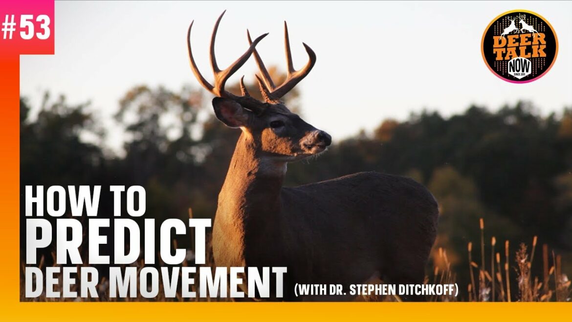 #53: HOW TO PREDICT DEER MOVEMENT with Dr. Stephen Ditchkoff | Deer Talk Now Podcast