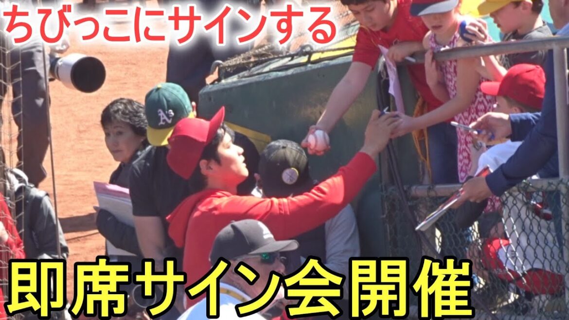 Autographs for kids and baseball fans![Shohei Ohtani]Shohei Ohtani vs Athletics