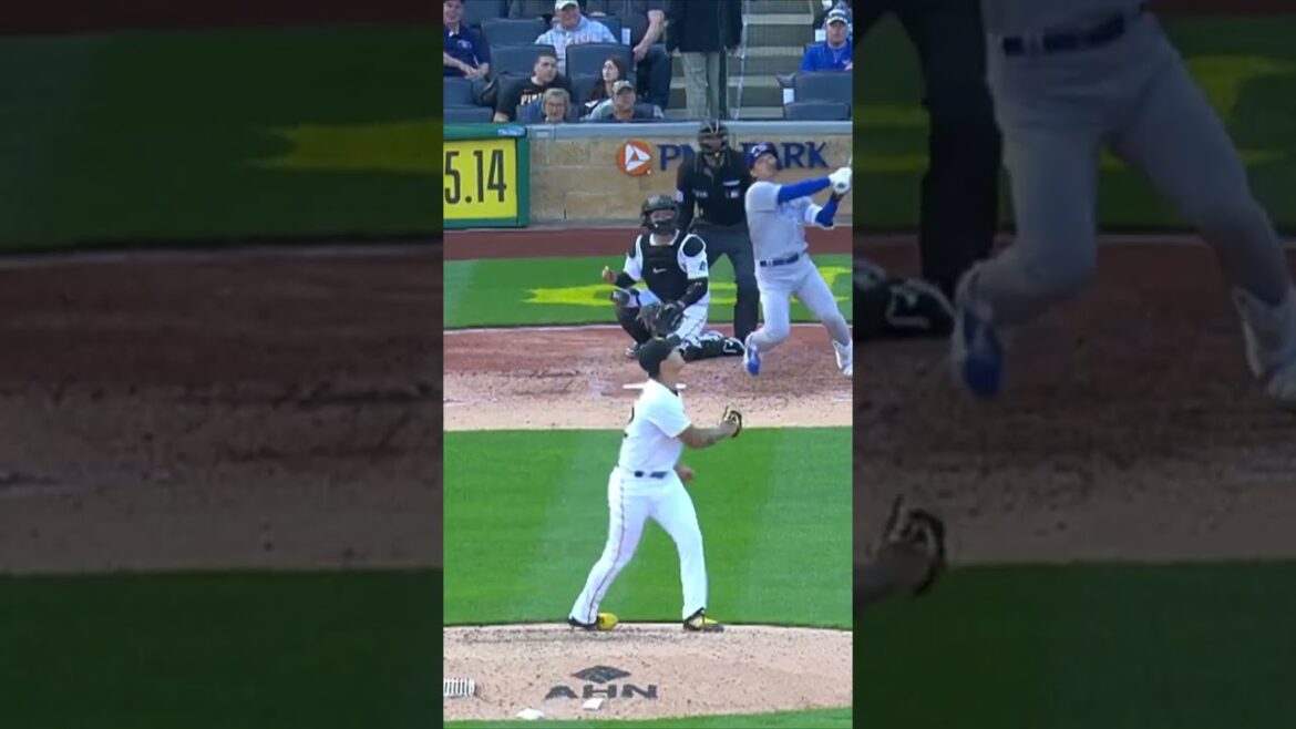 Seiya Suzuki Will Be Back With The Cubs Soon... 👀