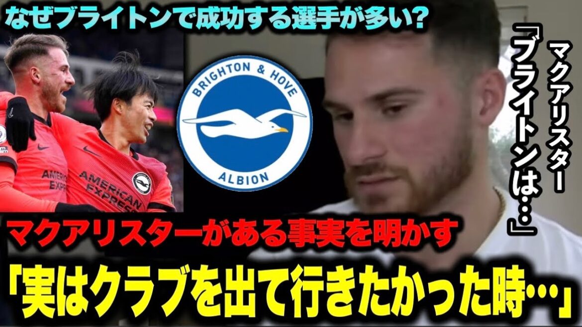 McAlister reveals that he tells young players who transfer to Brighton that he is ●●[Brighton / Kaoru Mitomo]