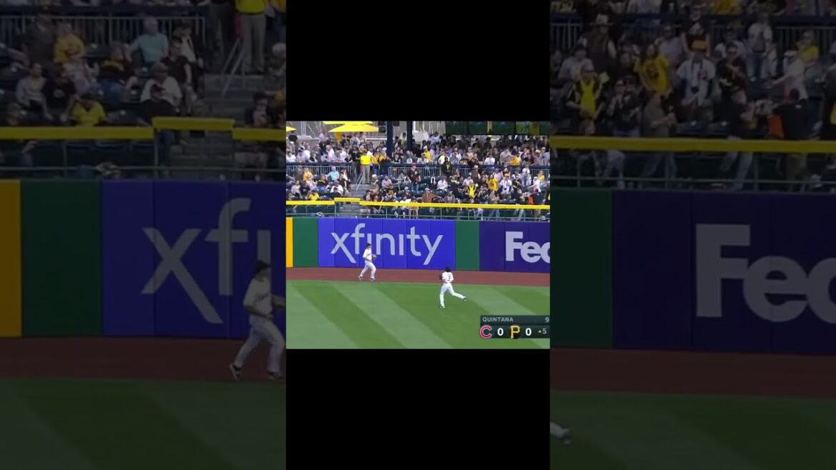 [WBC Team Japan] Seiya Suzuki (OF)