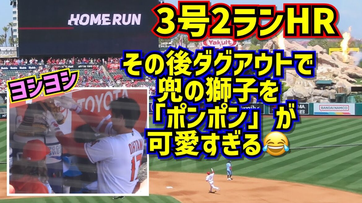 Too cute!!  ️ Shohei Ohtani No. 3 2-run home run After that, in the dugout, the lion on the helmet "pom-pom"[Local video]4/9 vs Blue Jays ShoheiOhtani HomeRun Angels