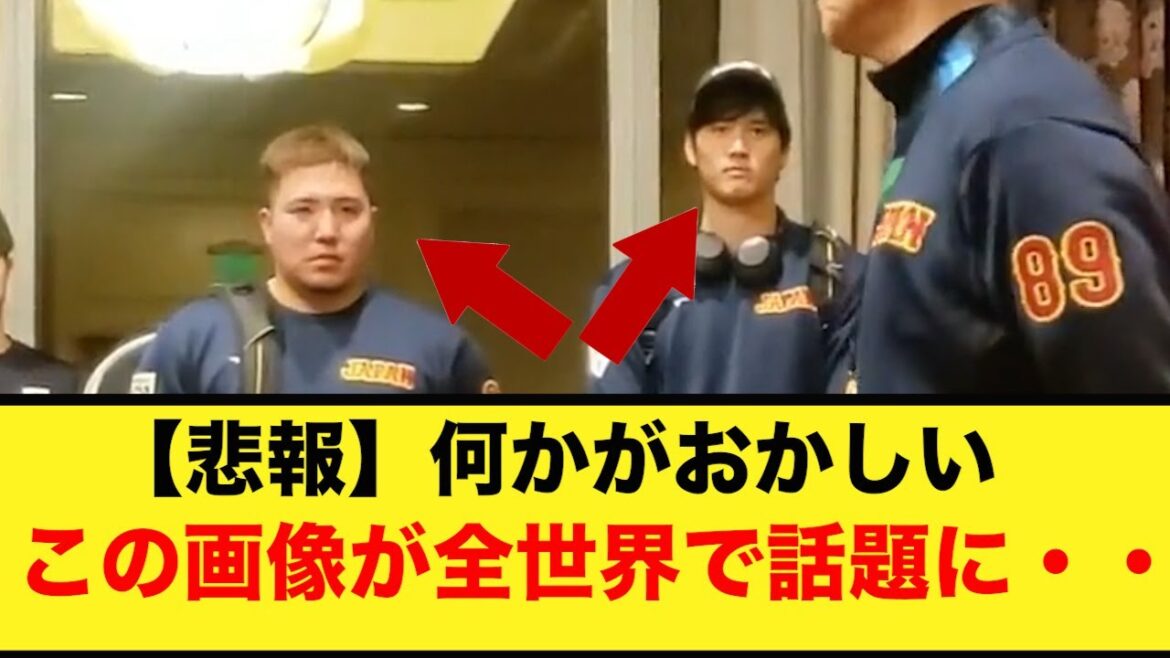 [Did you notice?  ]Image after WBC. It's funny to see this, and it's a topic all over the world. #Yu Darvish#Shohei Ohtani#Munetaka Murakami