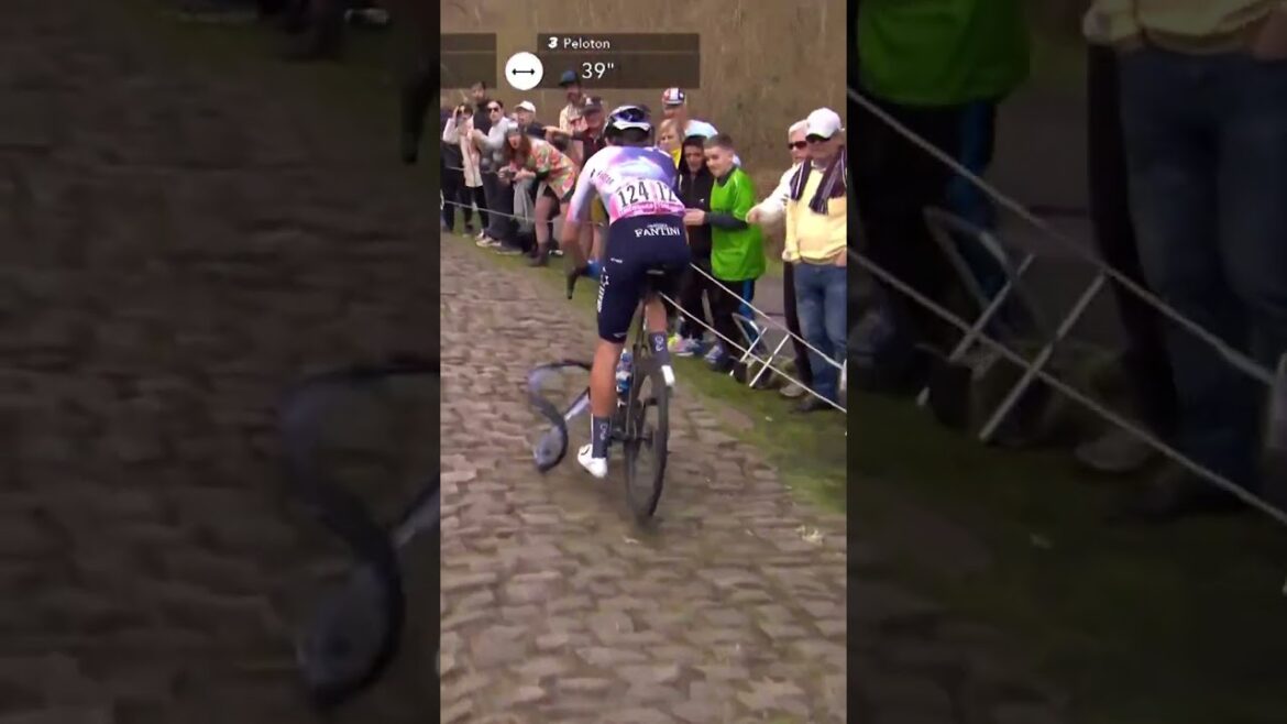 When it’s not your day… 😭😅 #parisroubaix #cycling #fail When it's not your day... 😭😅 #parisroubaix #cycling #fail