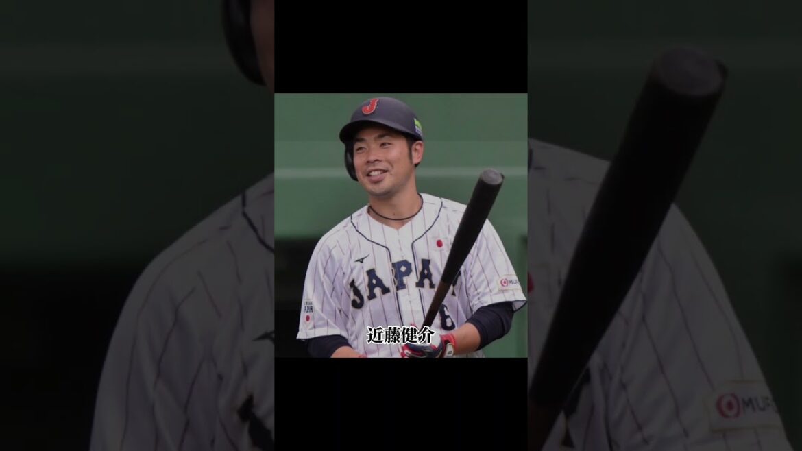 Rally rally spree day ham warrior