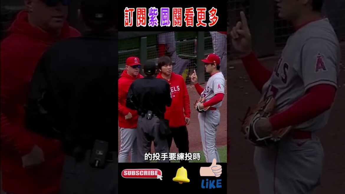 Shohei Otani being naughty? He actually took the ball out of the referee's bag on his own initiative!