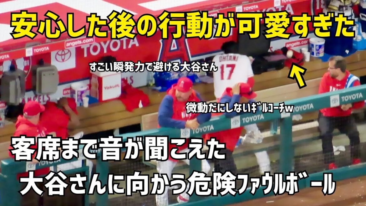 Ohtani received a dangerous foul ball… Shohei Ohtani acted too cute after dodging with his explosive power Angels Shohei Ohtani Ohtani received a dangerous foul ball... Shohei Ohtani acted too cute after dodging with his explosive power Angels Shohei Ohtani