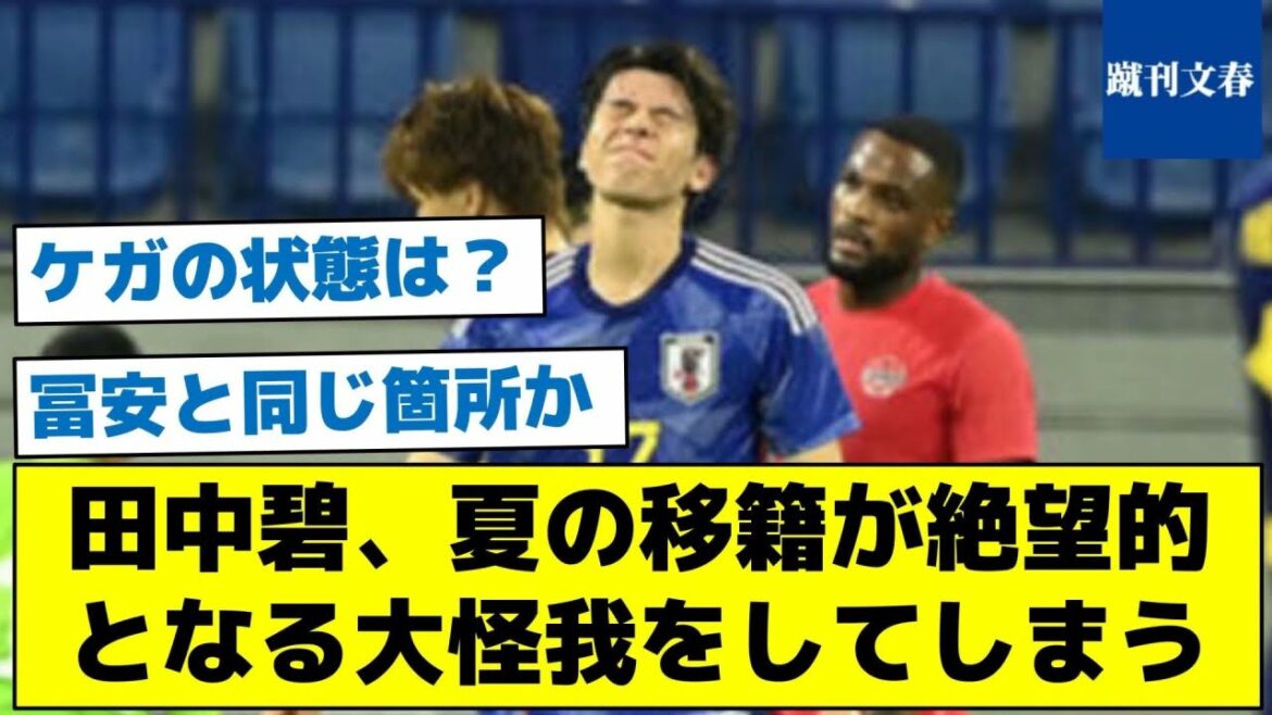 [what is the condition of the injury you care about? ]Aoi Tanaka, a serious injury that makes summer transfer hopeless