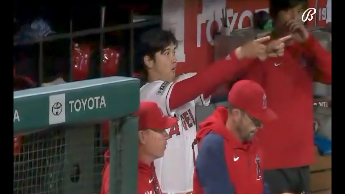 Shohei Ohtani Gets Terrified When He Almost Gets Hit By A Foul Ball 🤣!!!
