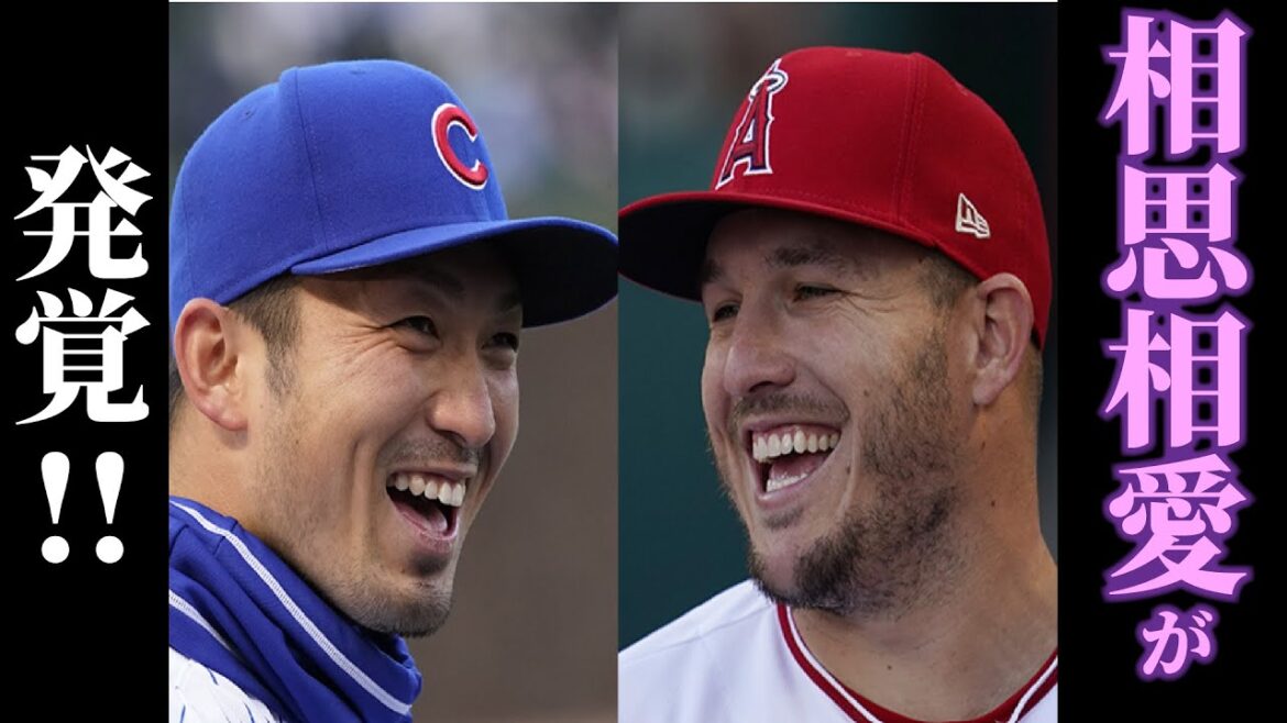 Mutual love between Seiya Suzuki and Trout discovered![Shohei Ohtani]