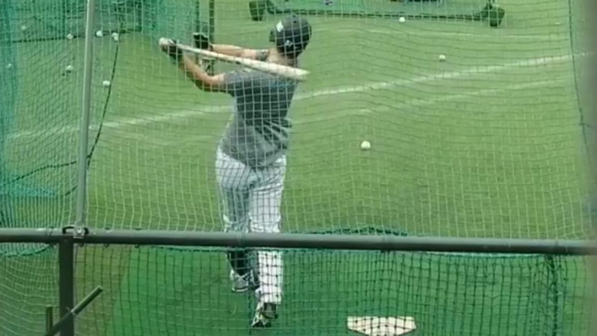 Samurai Japan Carp Seiya Suzuki Staying Special Hitting Close Range Indoor Free Batting 2017 WBC Japan National Team Miyazaki Training Camp Samurai Japan Carp Seiya Suzuki Staying Special Hitting Close Range Indoor Free Batting 2017 WBC Japan National Team Miyazaki Training Camp