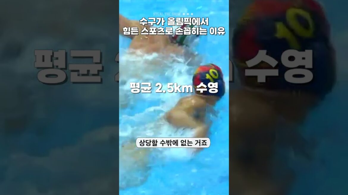 Why water polo is one of the toughest sports in the Olympics 🤽 Why water polo is one of the toughest sports in the Olympics 🤽