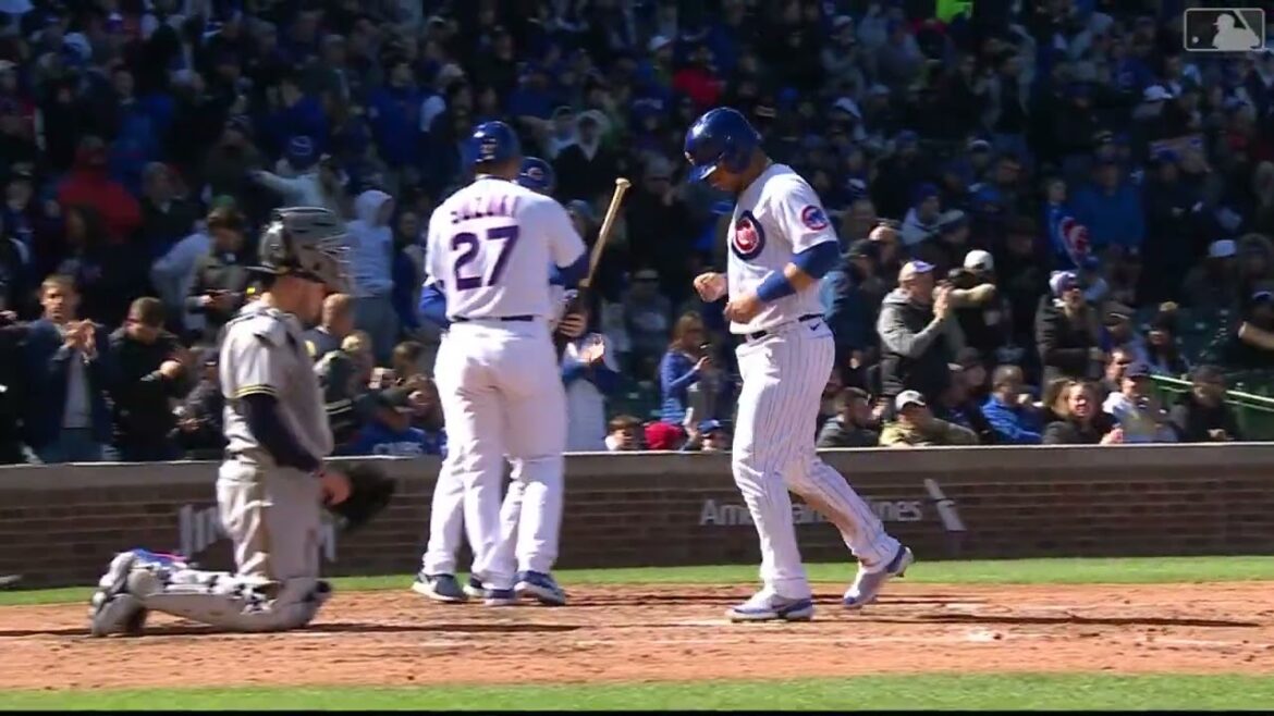 Seiya Suzuki's RBI Walk