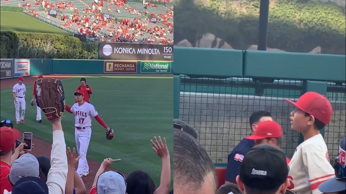 Shohei Ohtani give a ball to a young Boy with priceless reaction Shohei Ohtani give a ball to a young Boy with priceless reaction