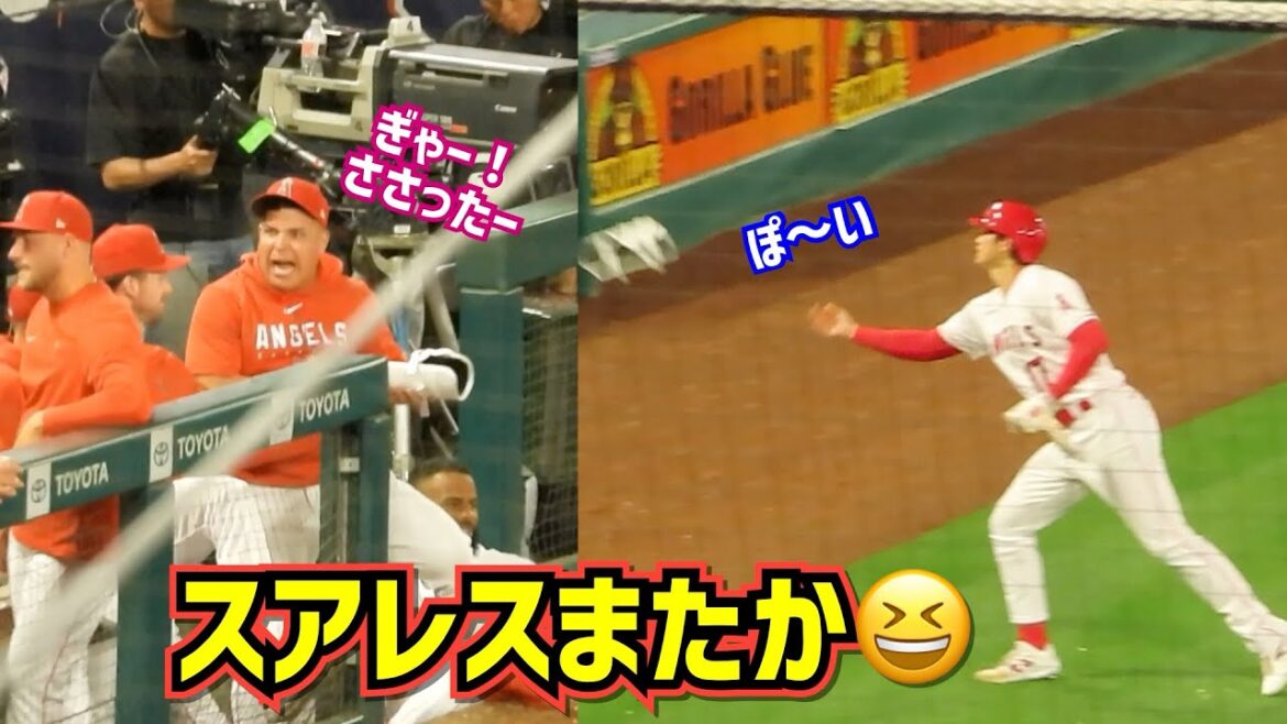 accident!  ️ Suarez or Shohei Ohtani's shin guard gets stuck[Local video]ShoheiOhtani Angels