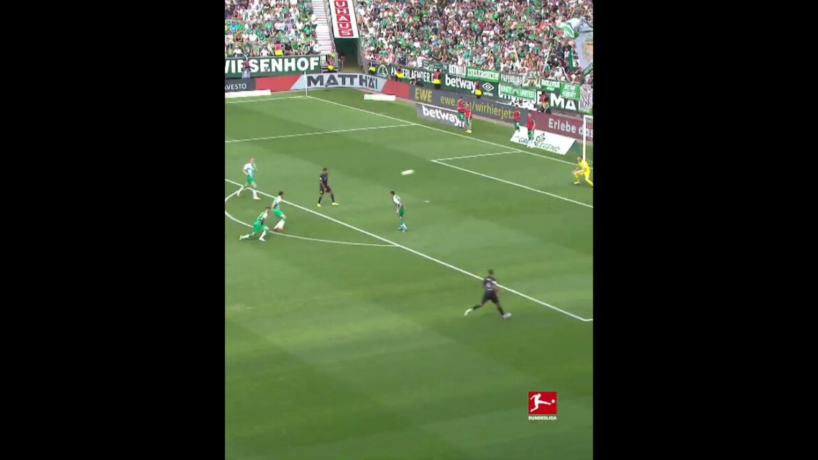 Germany 1st Stuttgart captain Endo Wataru best goal