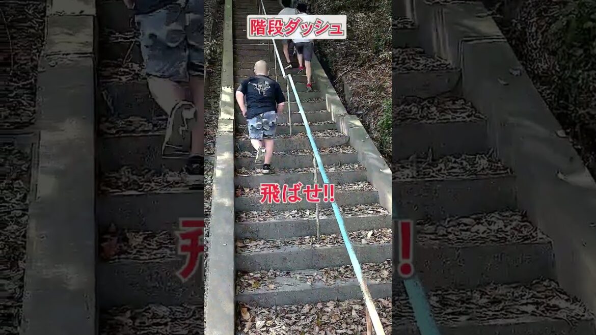 [Challenge for elementary school students]Challenge running and stair dash