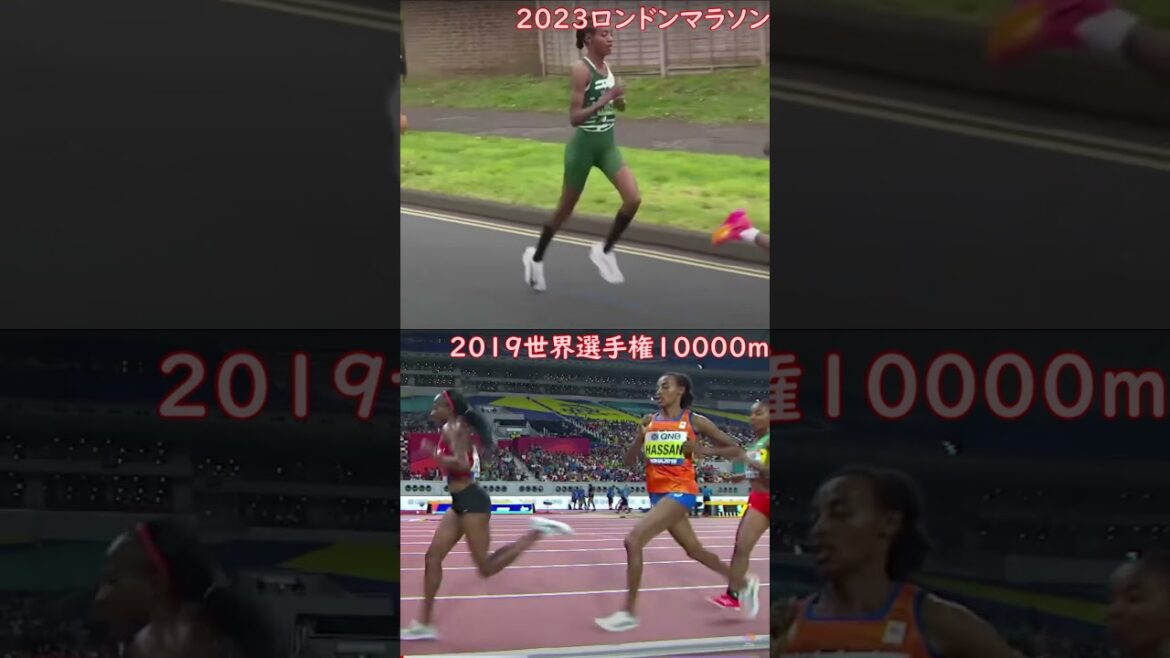 Sifan Hassan!  From 1500m to marathon, why is it so strong!  ?
