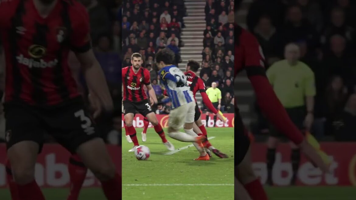 Catch Me If Kaoru Can 🏃🏻