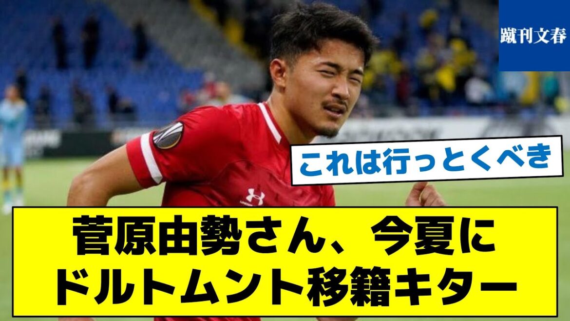 [Hiroki Sakai's successor will be found]Yusei Sugawara will transfer to Dortmund this summer