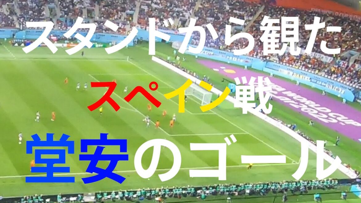 Goal of Doan against Spain