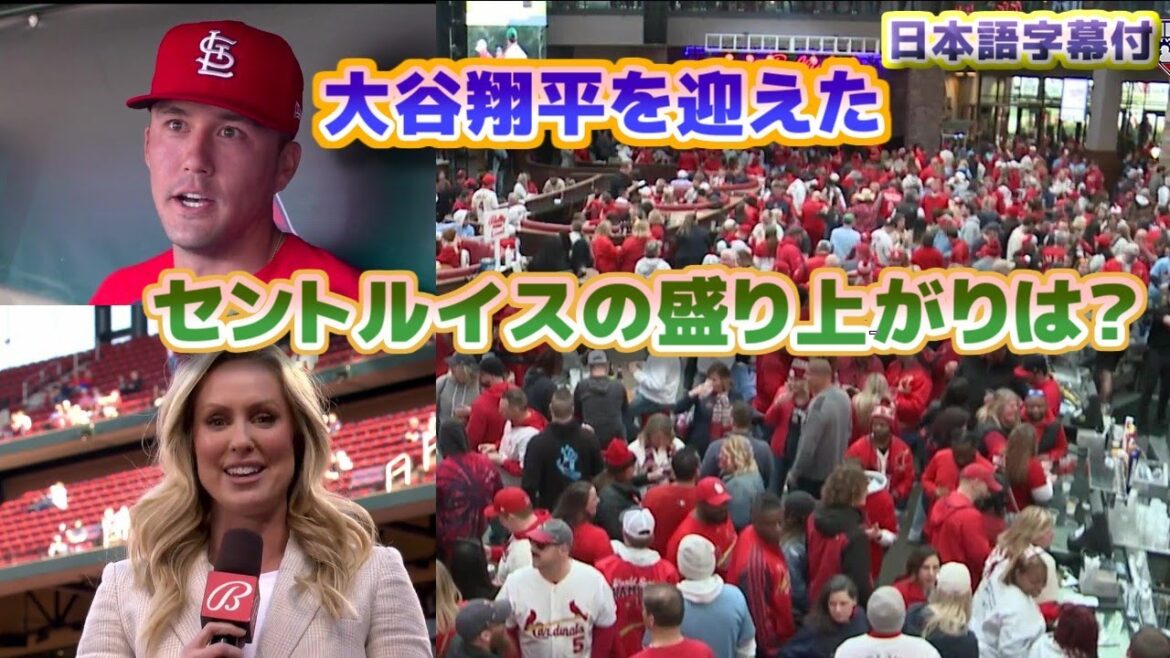 What's it like in St. Louis?St. Louis pre-game interview with Shohei Ohtani