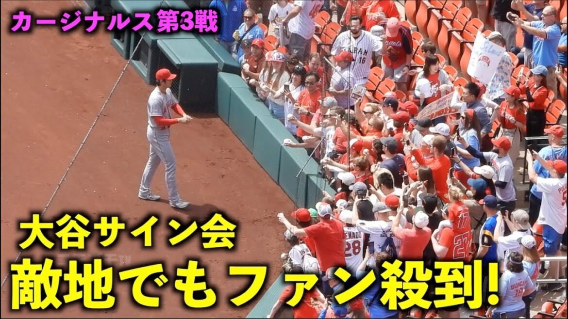 I'm so happy! Shohei Otani Sudden autograph session with a rush of fans in enemy territory![Local footage]Angels vs Cardinals Game 3 May 5