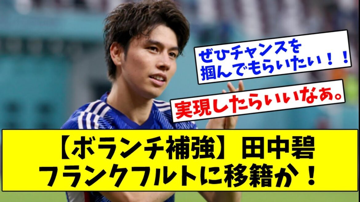 [Volunteer Reinforcement]Midori Tanaka transferred to Frankfurt!