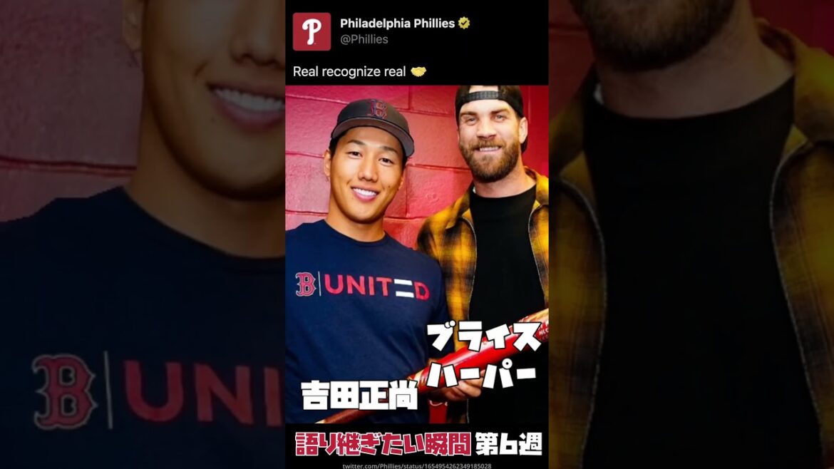 MLB Story | Week 6 Summary | Masanao Yoshida Shohei Otani Darvish Harper Weekly MVP #baseball #mlb #major league