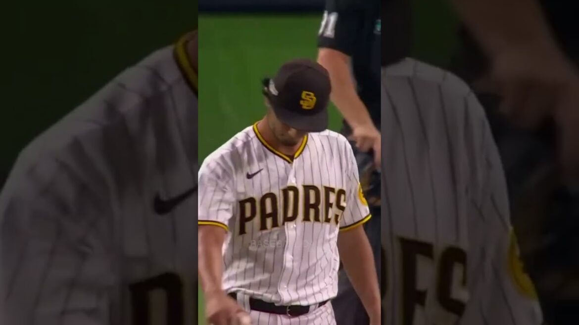 Schwarber Did It To Darvish Again 💀 #shorts Schwarber Did It To Darvish Again 💀 #shorts