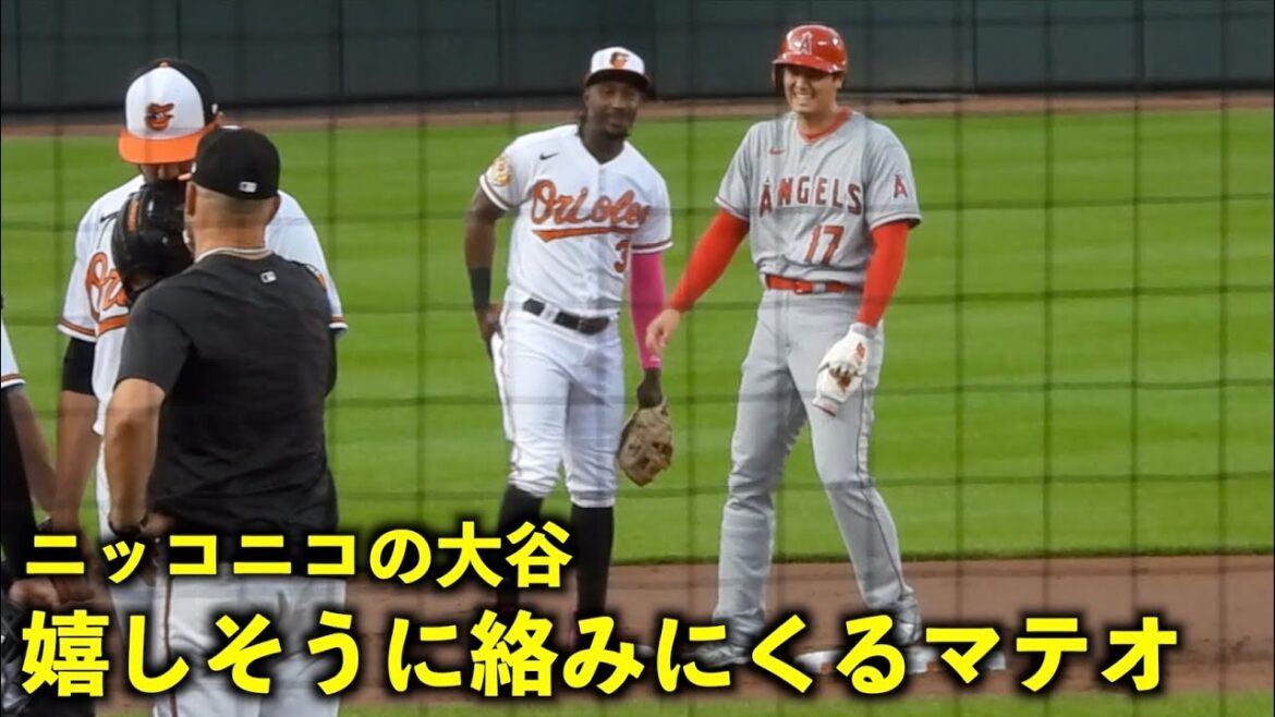 What a great sight! Mateo happy to get involved with Shohei Ohtani[Local video]Angels vs Orioles 1st match 5/16