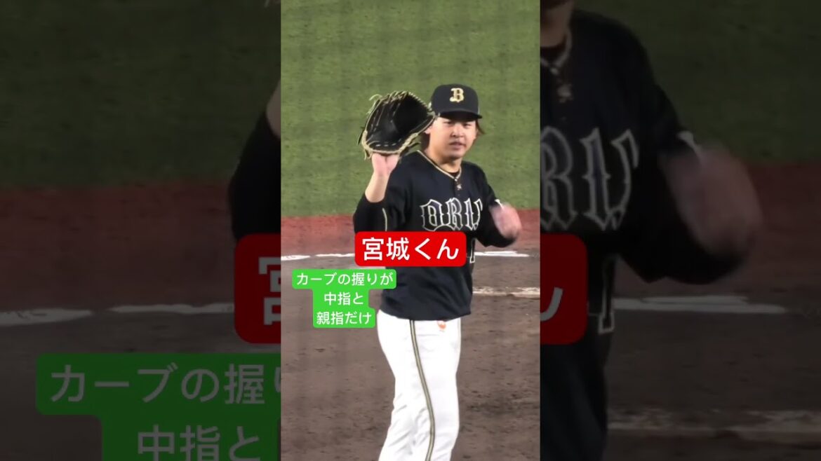 Miyagi-kun is super out of the way (looks frustrated) #shorts Miyagi-kun is super out of the way (looks frustrated) #shorts