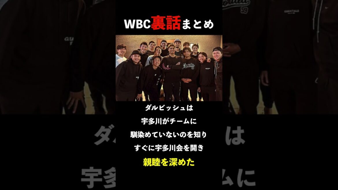 WBC Inside Story Summary Noot Bar and Darvish Edition #shorts # Noot Bar